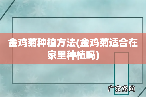金鸡菊适合在家里种植吗 金鸡菊种植方法