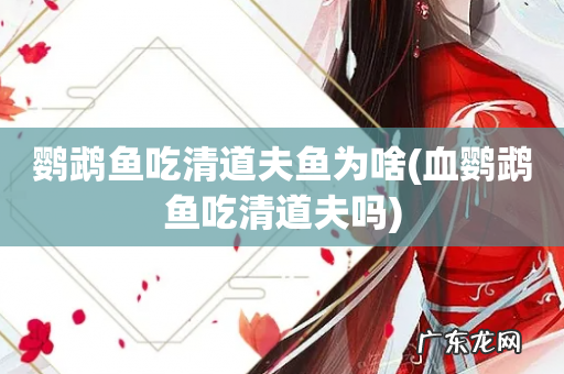 血鹦鹉鱼吃清道夫吗 鹦鹉鱼吃清道夫鱼为啥