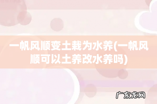 一帆风顺可以土养改水养吗 一帆风顺变土栽为水养