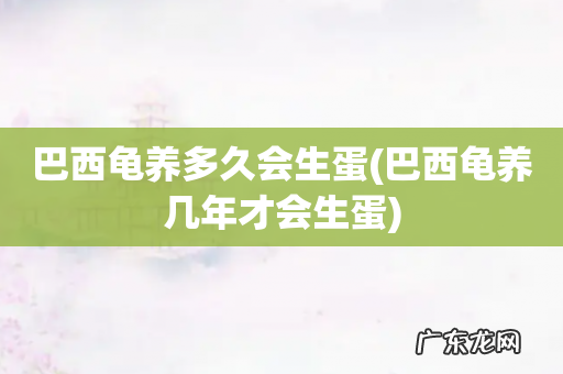 巴西龟养几年才会生蛋 巴西龟养多久会生蛋