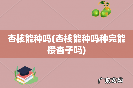 杏核能种吗种完能接杏子吗 杏核能种吗