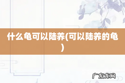 可以陆养的龟 什么龟可以陆养