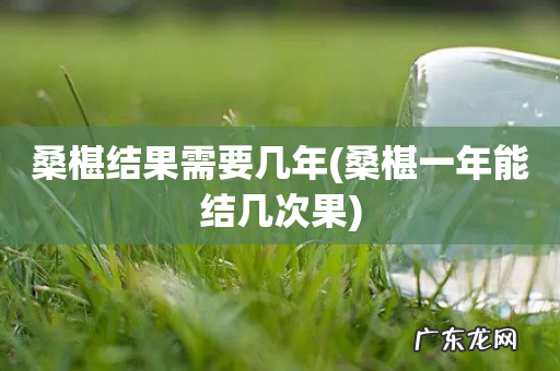 桑椹一年能结几次果 桑椹结果需要几年