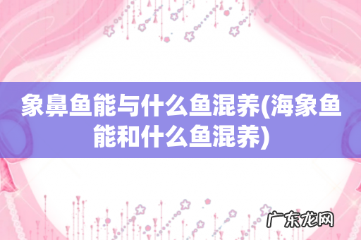 海象鱼能和什么鱼混养 象鼻鱼能与什么鱼混养