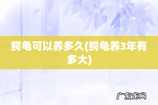 鳄龟养3年有多大 鳄龟可以养多久