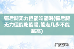 猫后腿无力但能吃能喝,能走几步不能跳高 猫后腿无力但能吃能喝