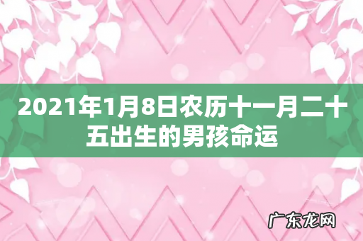 2021年1月8日农历十一月二十五出生的男孩命运