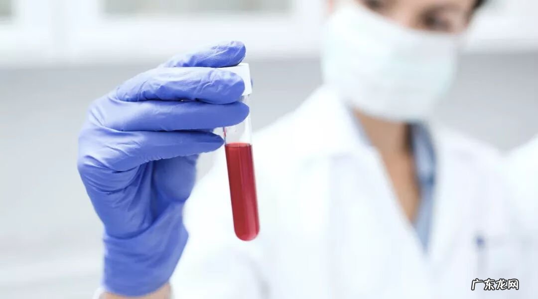 妈妈o型爸爸b型孩子聪明吗 b型血跟o型血生的孩子是什么血型