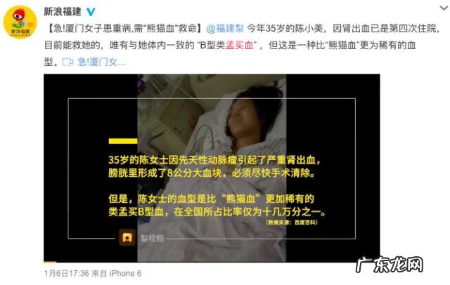 妈妈o型爸爸b型孩子聪明吗 b型血跟o型血生的孩子是什么血型