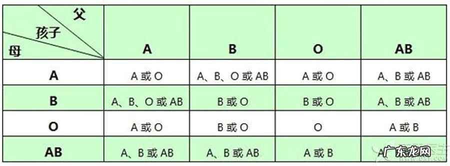 妈妈o型爸爸b型孩子聪明吗 b型血跟o型血生的孩子是什么血型