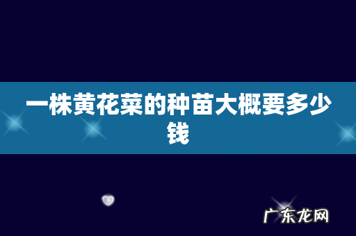一株黄花菜的种苗大概要多少钱