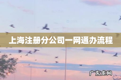 上海注册分公司一网通办流程