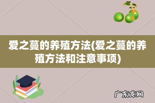 爱之蔓的养殖方法和注意事项 爱之蔓的养殖方法