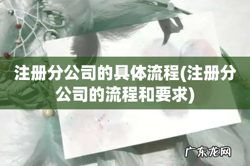 注册分公司的流程和要求 注册分公司的具体流程