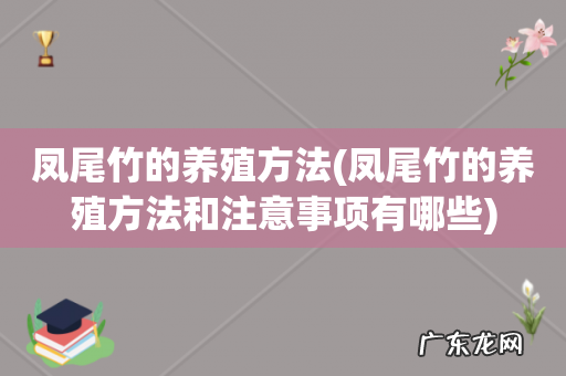 凤尾竹的养殖方法和注意事项有哪些 凤尾竹的养殖方法