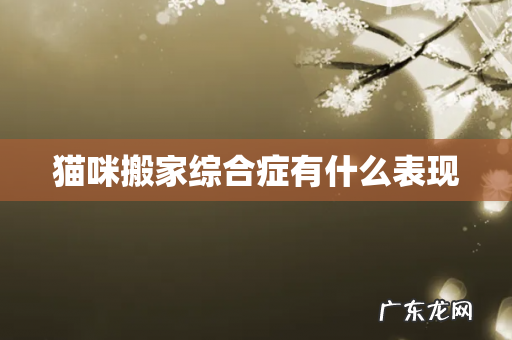 猫咪搬家综合症有什么表现