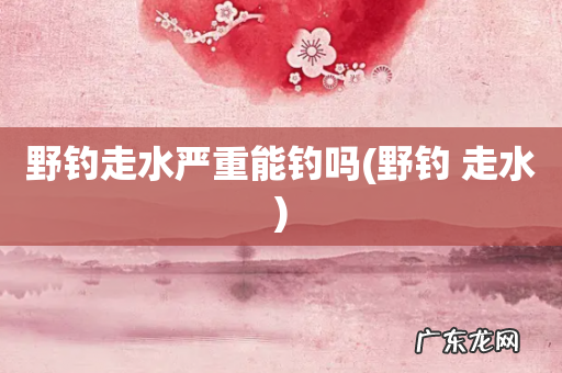 野钓 走水 野钓走水严重能钓吗