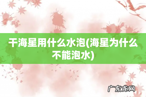 海星为什么不能泡水 干海星用什么水泡