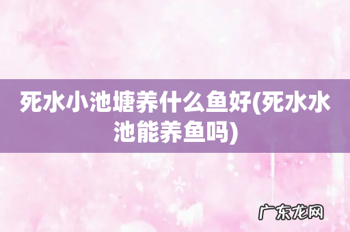 死水水池能养鱼吗 死水小池塘养什么鱼好