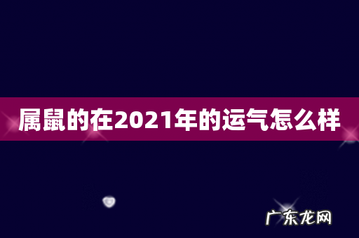 属鼠的在2021年的运气怎么样