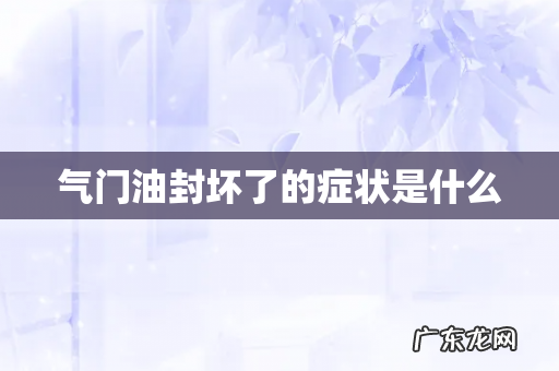 气门油封坏了的症状是什么
