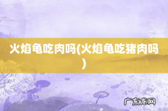 火焰龟吃猪肉吗 火焰龟吃肉吗