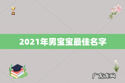 2021年男宝宝最佳名字