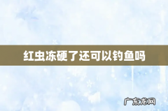 红虫冻硬了还可以钓鱼吗
