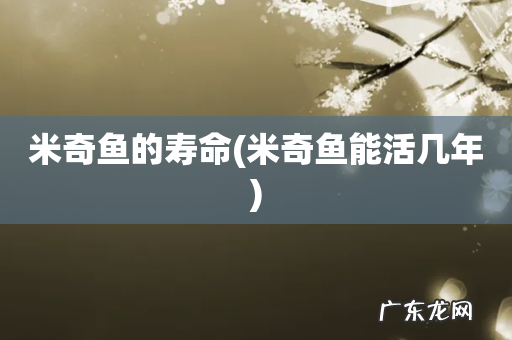 米奇鱼能活几年 米奇鱼的寿命