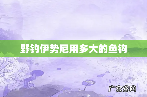 野钓伊势尼用多大的鱼钩