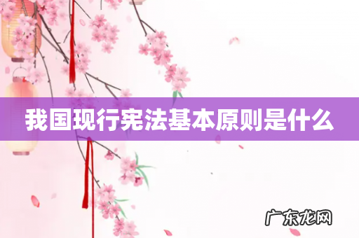 我国现行宪法基本原则是什么