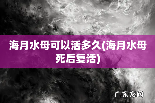 海月水母死后复活 海月水母可以活多久