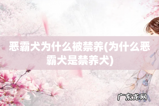 为什么恶霸犬是禁养犬 恶霸犬为什么被禁养