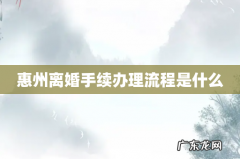 惠州离婚手续办理流程是什么