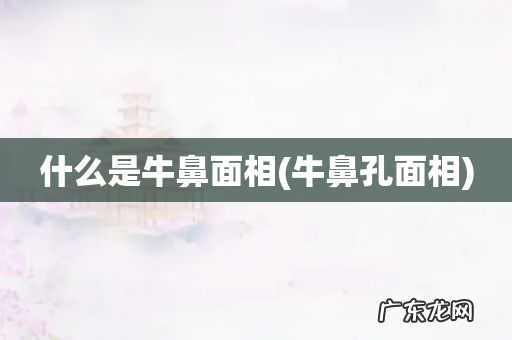 牛鼻孔面相 什么是牛鼻面相