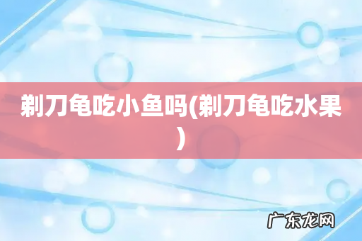 剃刀龟吃水果 剃刀龟吃小鱼吗