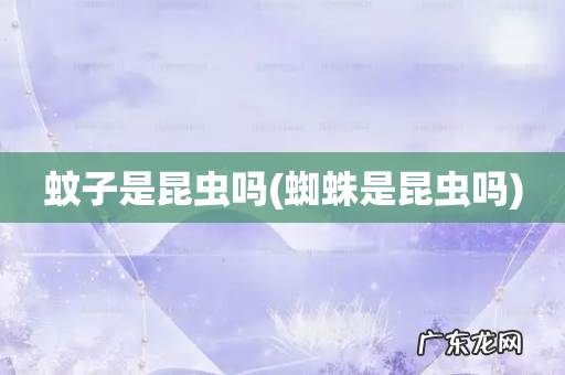 蜘蛛是昆虫吗 蚊子是昆虫吗