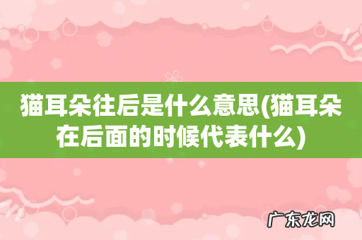 猫耳朵在后面的时候代表什么 猫耳朵往后是什么意思