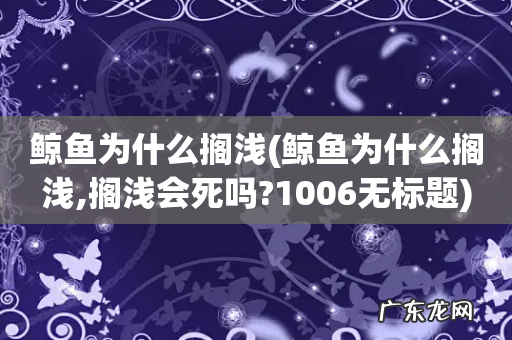 鲸鱼为什么搁浅,搁浅会死吗?1006无标题 鲸鱼为什么搁浅