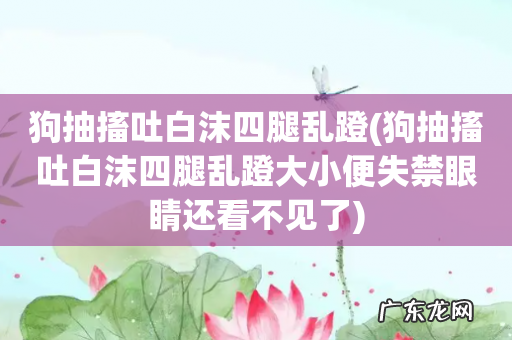 狗抽搐吐白沫四腿乱蹬大小便失禁眼睛还看不见了 狗抽搐吐白沫四腿乱蹬