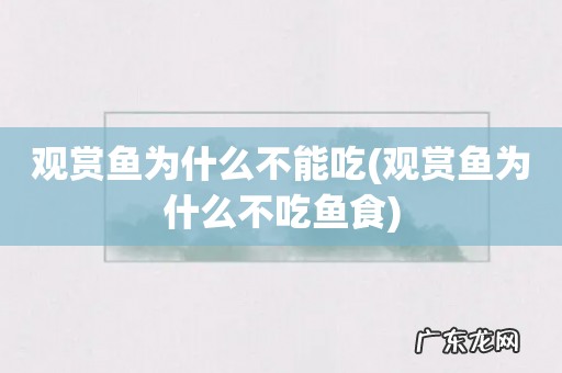 观赏鱼为什么不吃鱼食 观赏鱼为什么不能吃