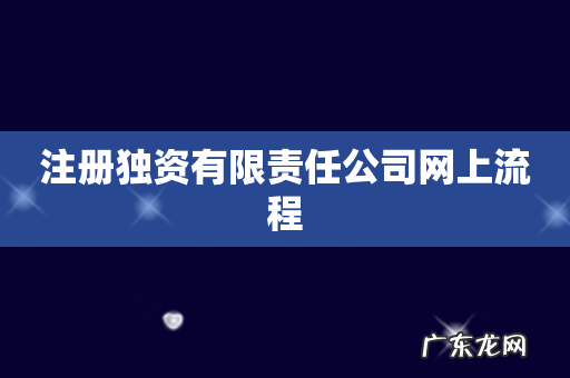 注册独资有限责任公司网上流程