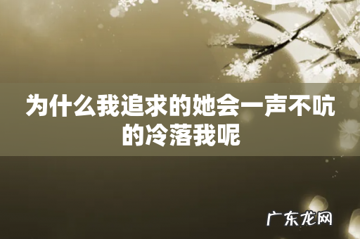 为什么我追求的她会一声不吭的冷落我呢
