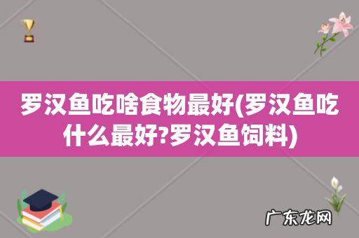 罗汉鱼吃什么最好?罗汉鱼饲料 罗汉鱼吃啥食物最好