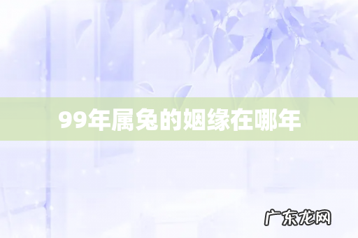 99年属兔的姻缘在哪年