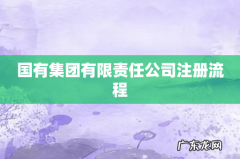 国有集团有限责任公司注册流程