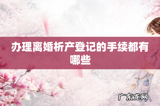 办理离婚析产登记的手续都有哪些