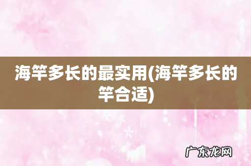 海竿多长的竿合适 海竿多长的最实用