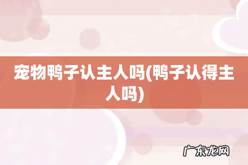 鸭子认得主人吗 宠物鸭子认主人吗
