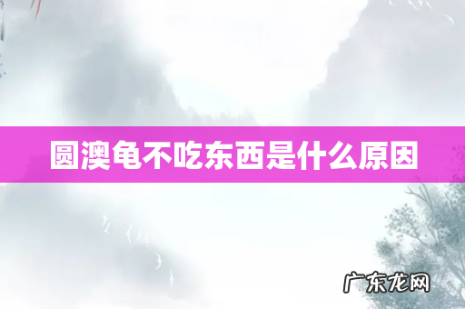 圆澳龟不吃东西是什么原因